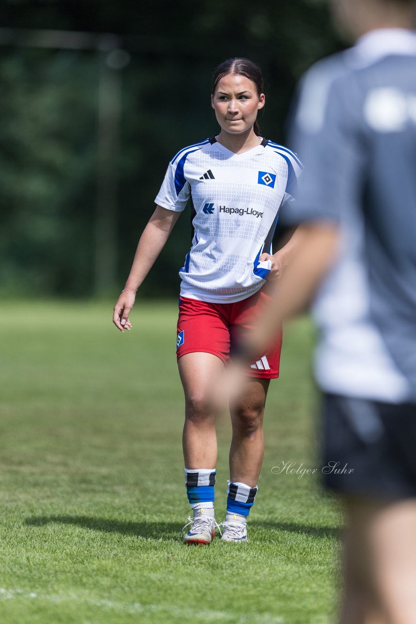 Bild 246 - wBJ Hamburger SV - VfL Wolfsburg : Ergebnis: 5:1